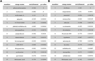 Screening for Potential Therapeutic Agents for Non-Small Cell Lung Cancer by Targeting Ferroptosis